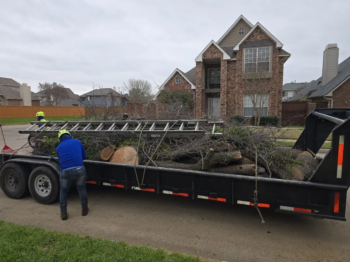 Expert Tree Fertilization with proper safety equipment in Moscow
